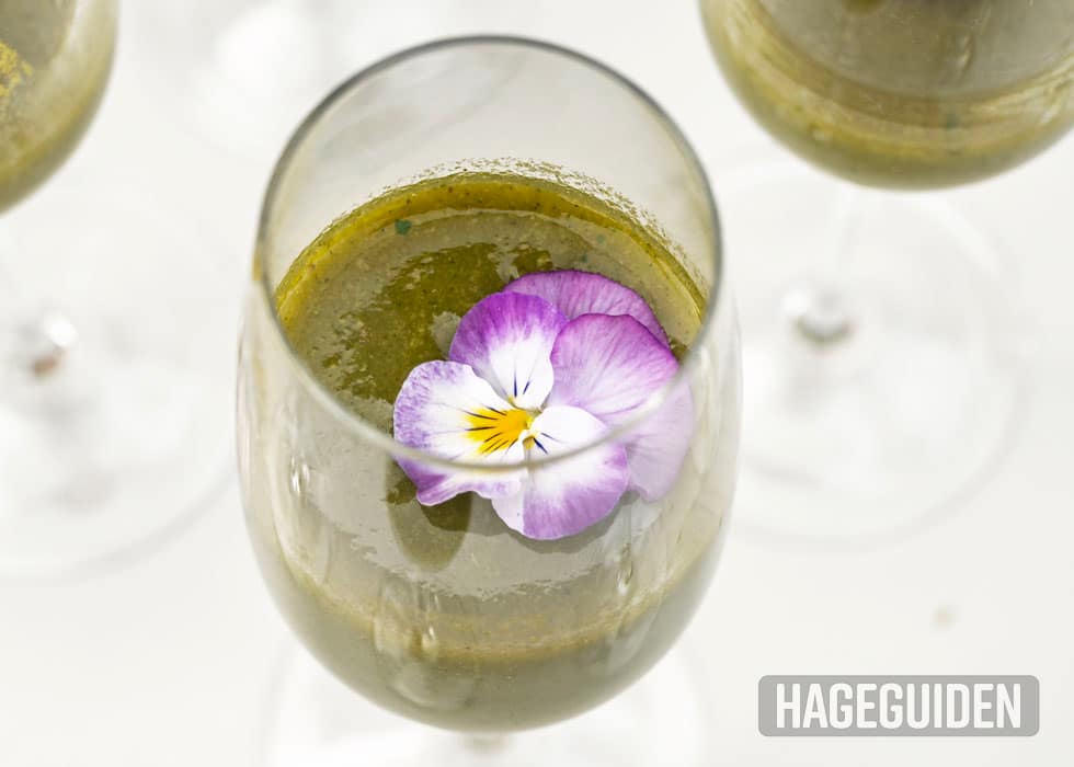 Stemorsblomst i drink