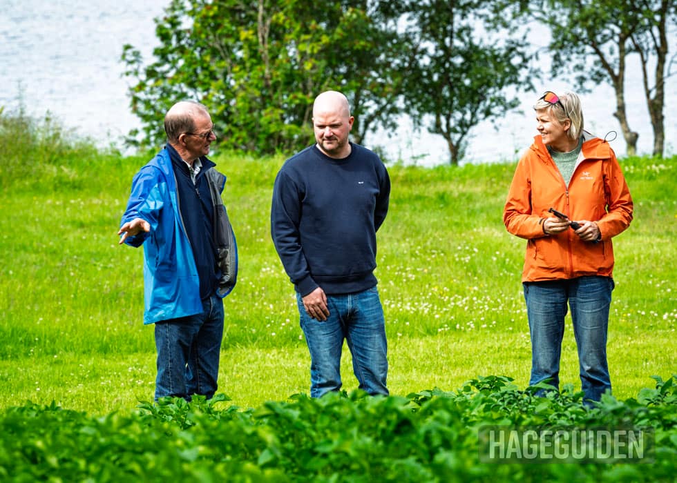 Åsbjørn Karlsen og Håvard Sandaa Karlsen sammen med Hageguidens redaktør Bjørnhild Fjeld.